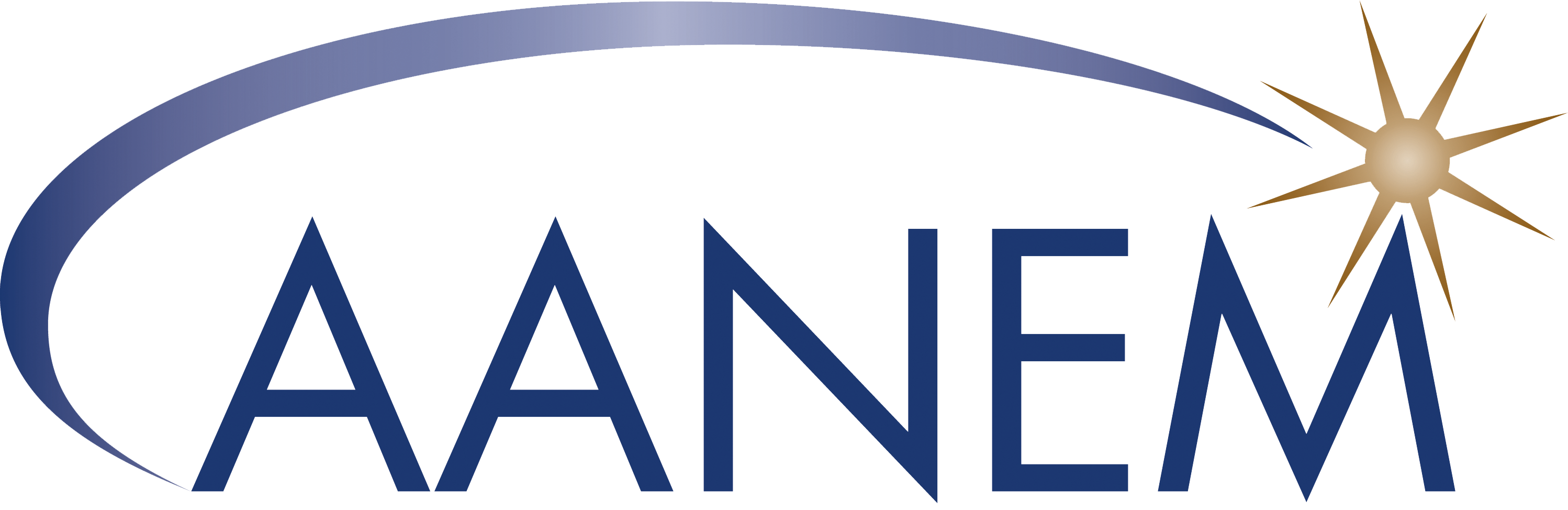 institutions-AANEM Logo Only.png